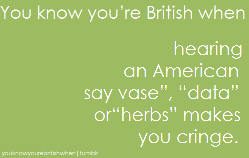 tumblr_llygbz9SIx1qks2j1o1_500.png