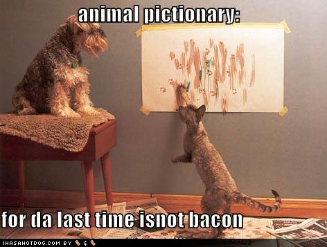 funny-dog-pictures-dog-and-cat-play-pictionary.jpg