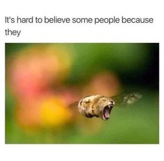 2e9e18f71e7e21c6a118341cad5eecce.jpg