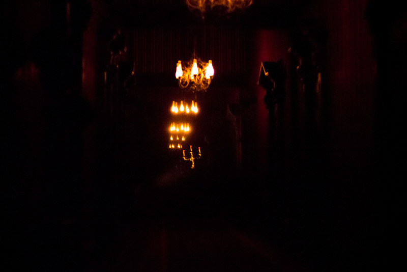 DSC_6654-L.jpg