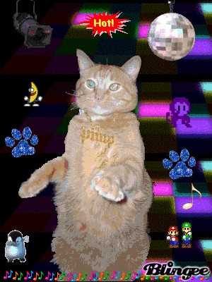 123097071_2d099a7d.gif