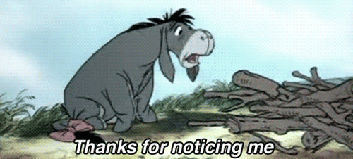 tumblr_n1y98hPd9s1tq4of6o1_500.gif
