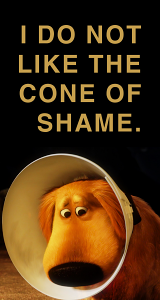 tumblr_m2qbx85nBO1qbemqao6_r1_250.png