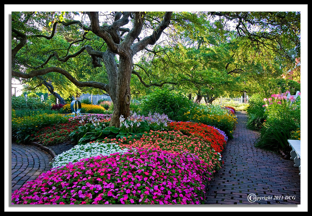 Flower-Garden-07-31-03cr-XL.jpg