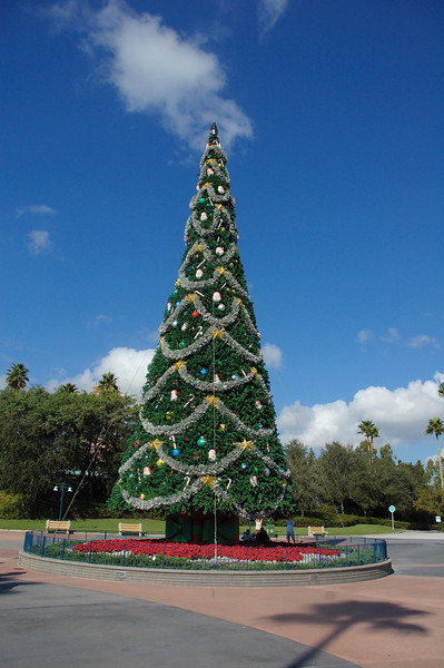 311450226_dgZb2-L.jpg