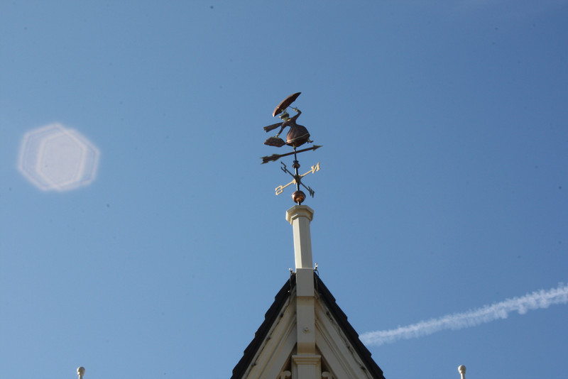 IMG9261-L.jpg
