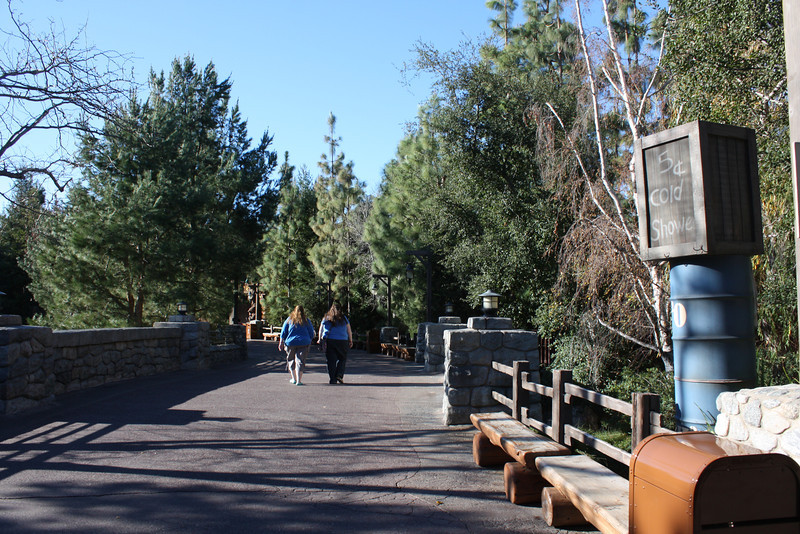 IMG9754-L.jpg