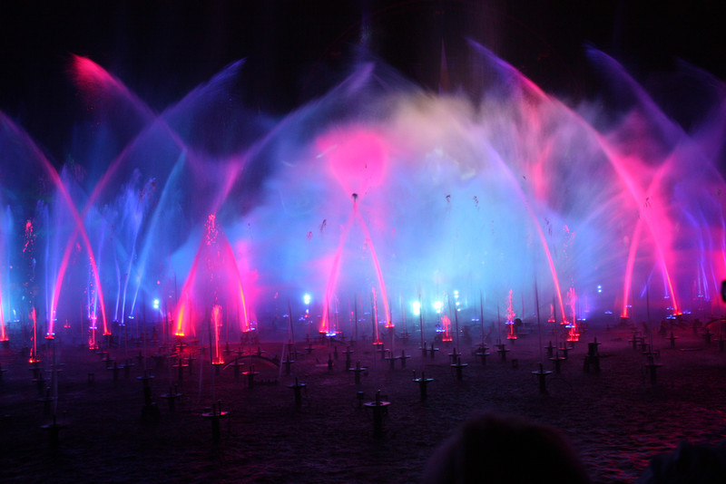 IMG0520-L.jpg