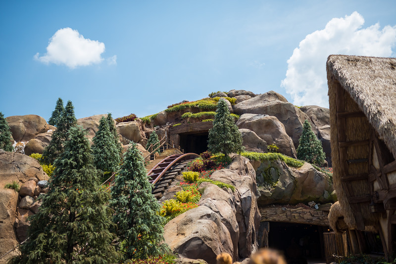 DSC_8899-L.jpg