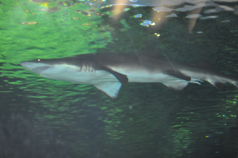 588900910_L3Hbz-L.jpg
