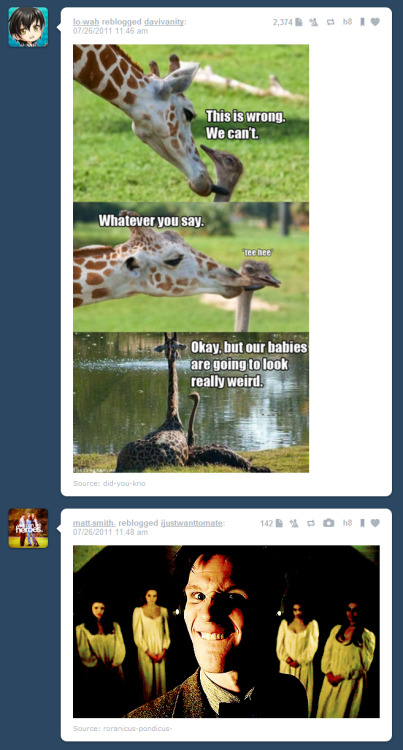 tumblr_loyf4hsCmC1qaydu6o1_500.jpg