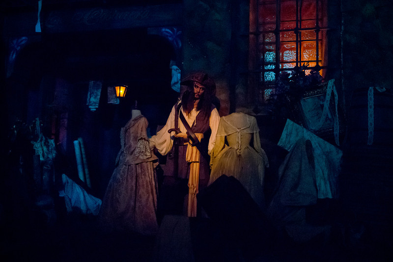DSC_2561-L.jpg