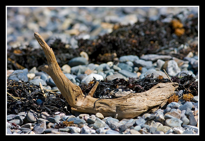 375811593_WG8cR-L-1.jpg