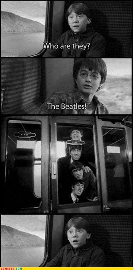 lol-harry-potter-vs-twilight-16575674-450-913.jpg