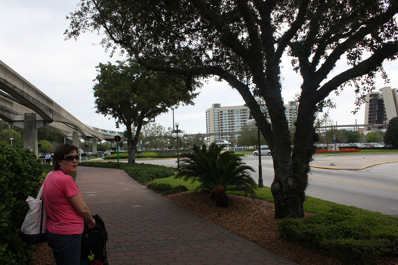 1215306592_acSQr-L.jpg