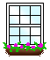 window.gif