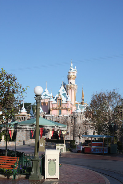 IMG9161-L.jpg