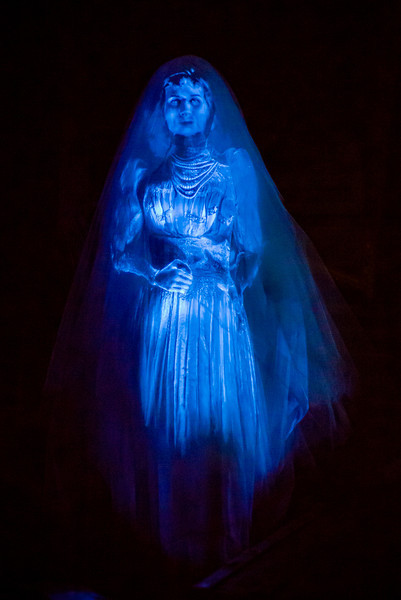 DSC_1412-L.jpg
