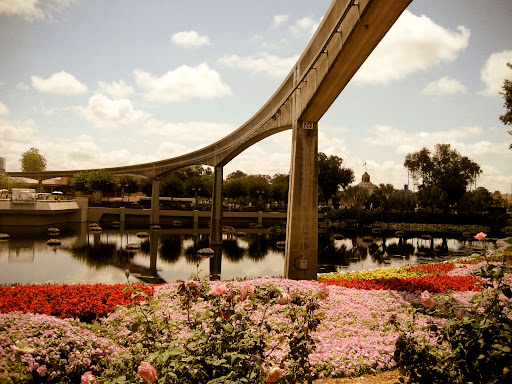 wdw-3192.jpg