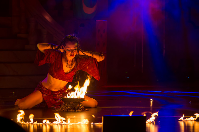 DSC_9285-L.jpg