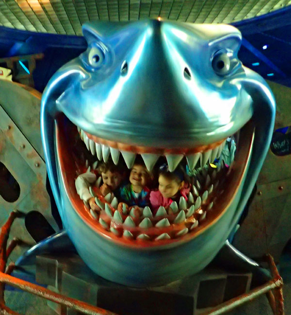 bruce_all.jpg