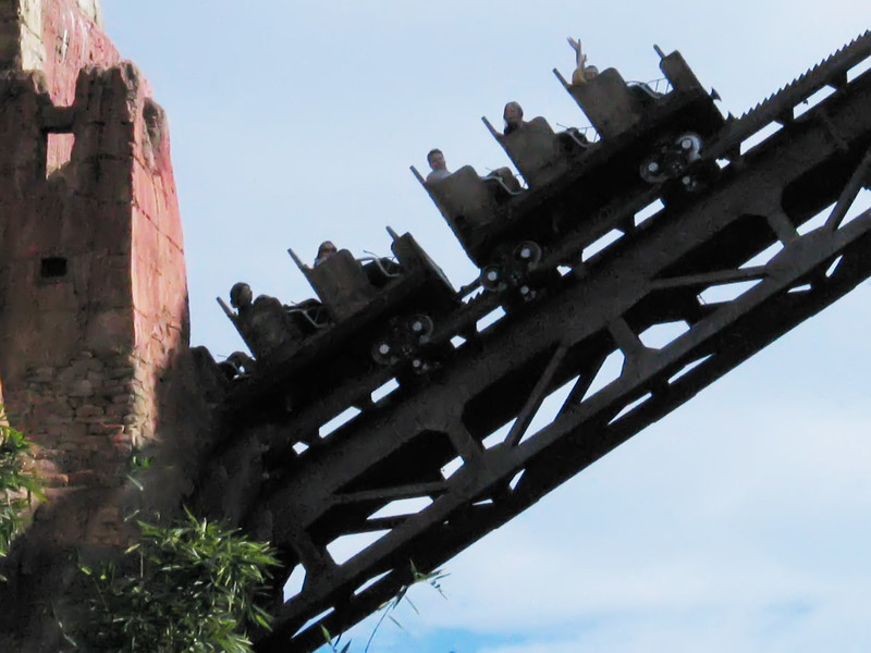 IMG7777-L.jpg