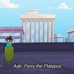 tumblr_lyj1jrY6NR1qb6qtgo2_250.gif