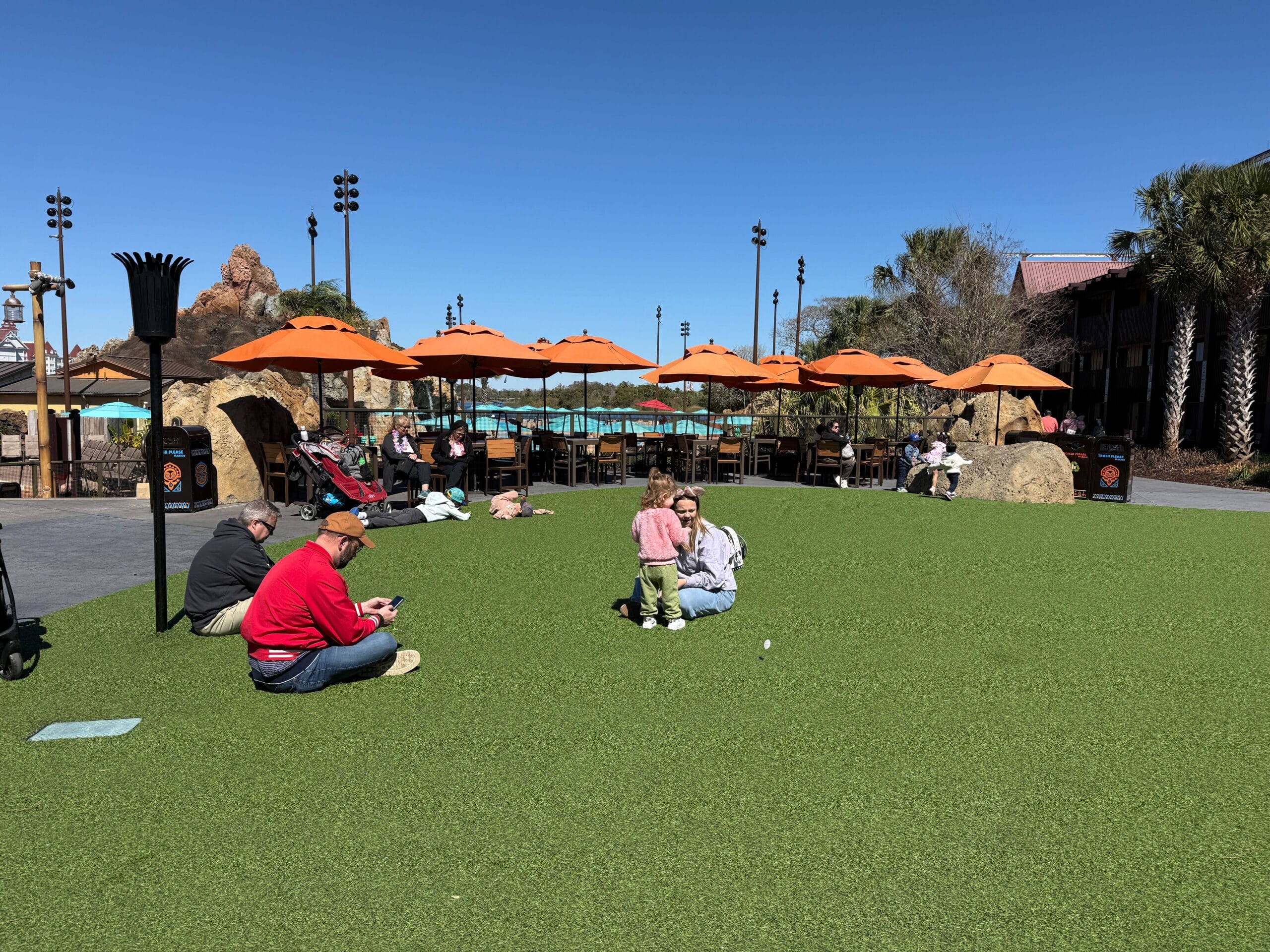 Pineapple Lanai Scaffolding