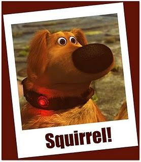 Squirrel%252BDug.jpg