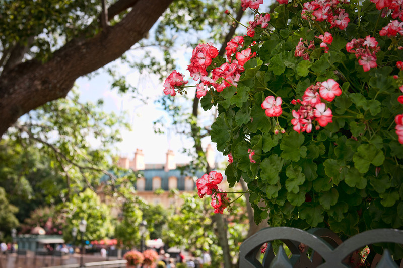 DSC9104-Edit-L.jpg