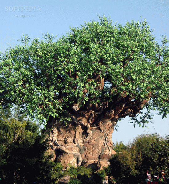 Disney-s-Animal-Kingdom-Screensaver_3.png
