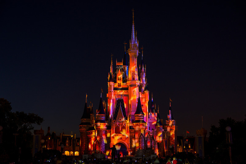 DSC_3690-L.jpg