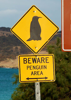 penguins.jpg