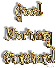 goodmorningsunshine.gif