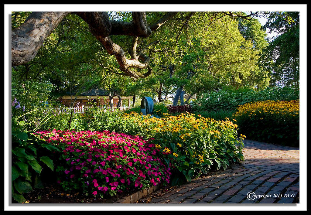 Flower-Garden-07-31-07cr-XL.jpg