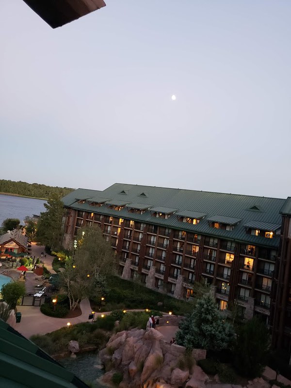51210973629_a325e1622f_c.jpg
