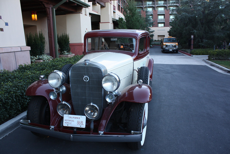 IMG9713-L.jpg