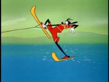 goofy41.jpg
