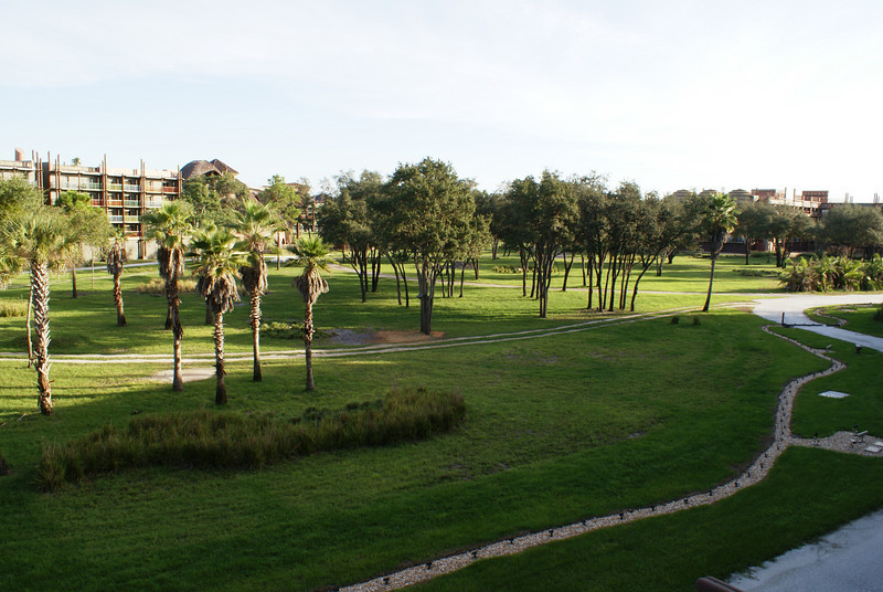 711003652_9qTpg-L.jpg