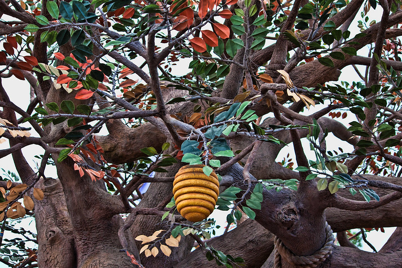 IMG8134-L.jpg