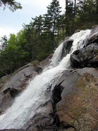 541967886_2bCX5-M.jpg