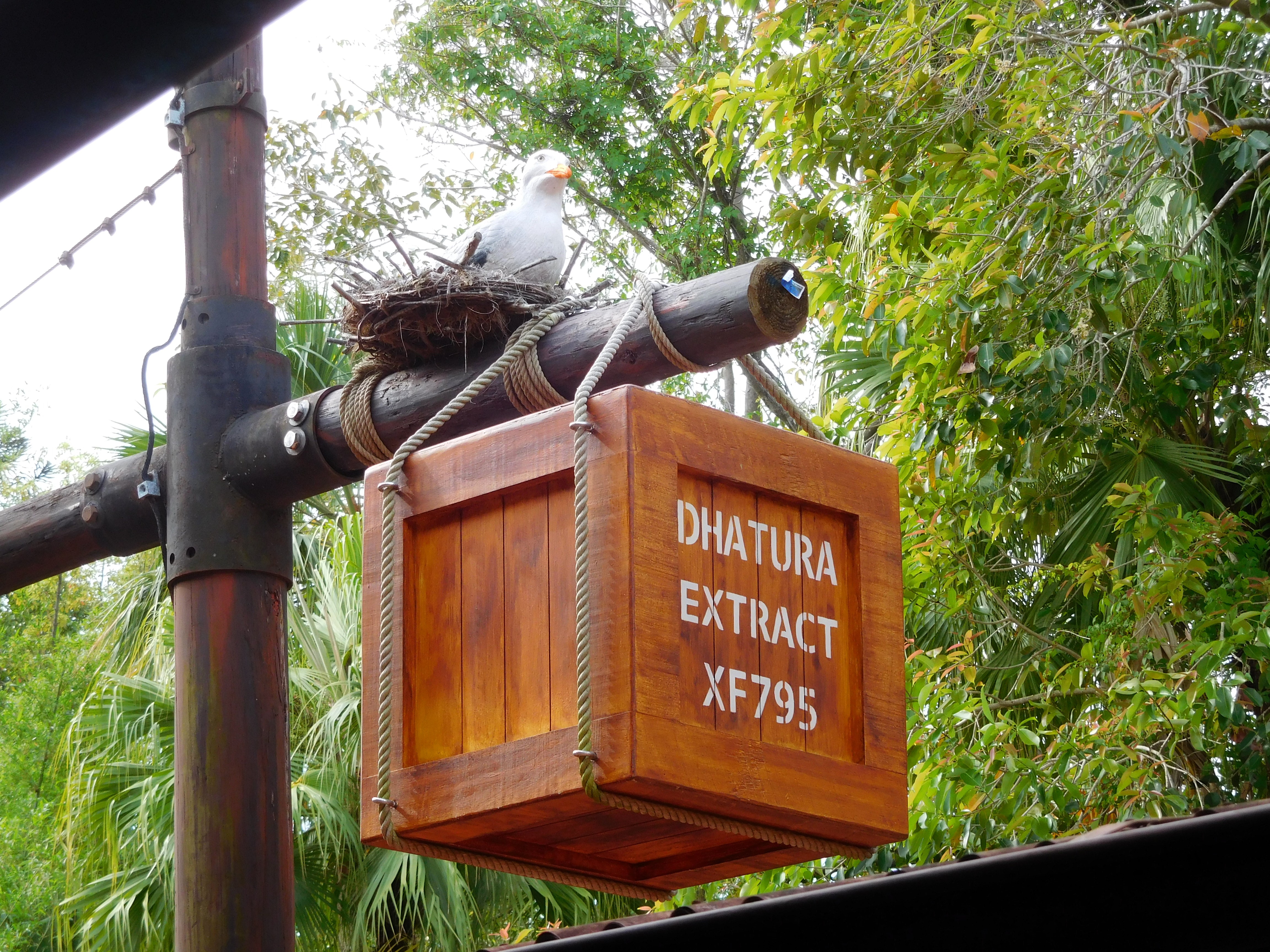 DSCN5128.jpg