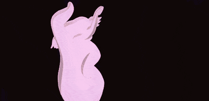 200.gif