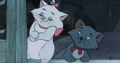 tumblr_n4liffZvgF1tqs69bo1_500.gif