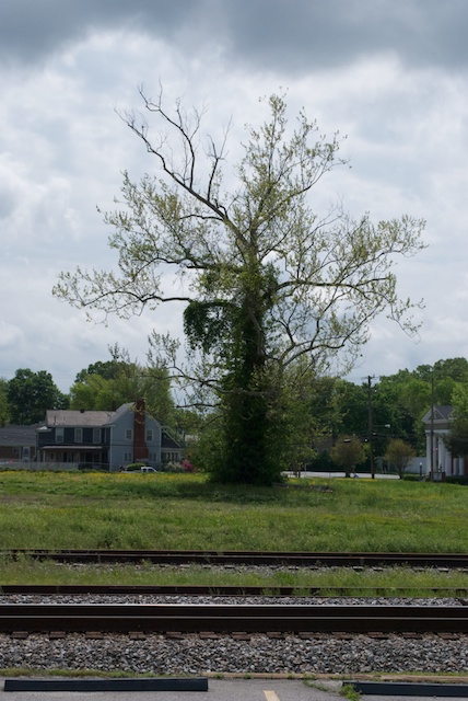 dsc_0074.jpg