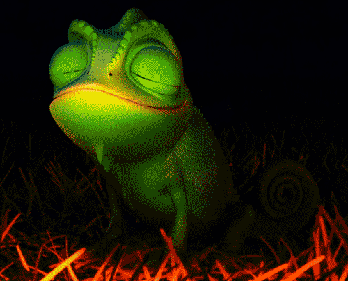 tumblr_lnk29whCYK1qafrh6.gif