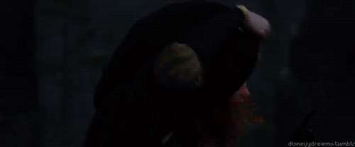 tumblr_lnk76z6vQy1qjt9p1o1_500.gif