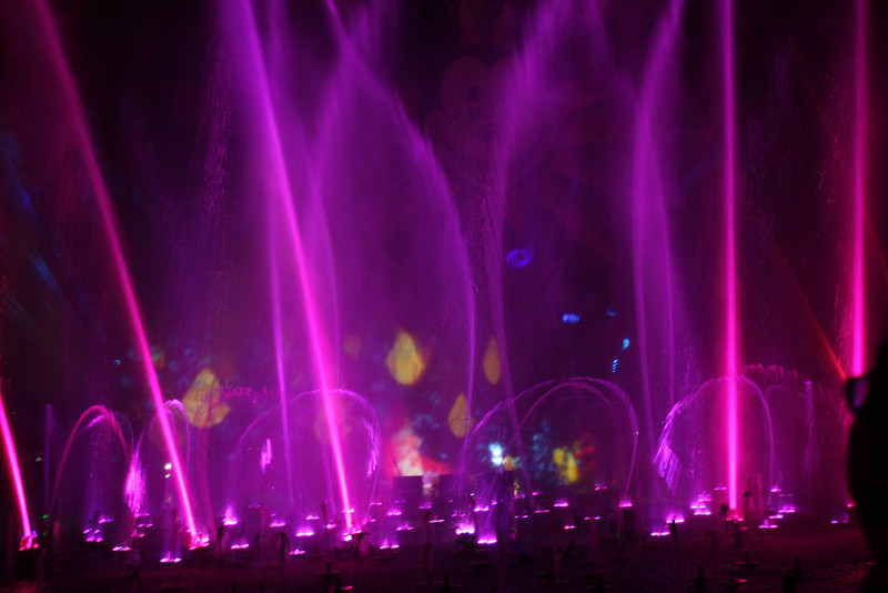 IMG0426-L.jpg