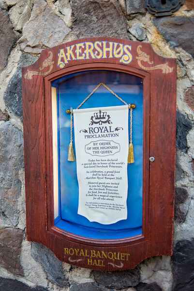 DSC_6331-L.jpg