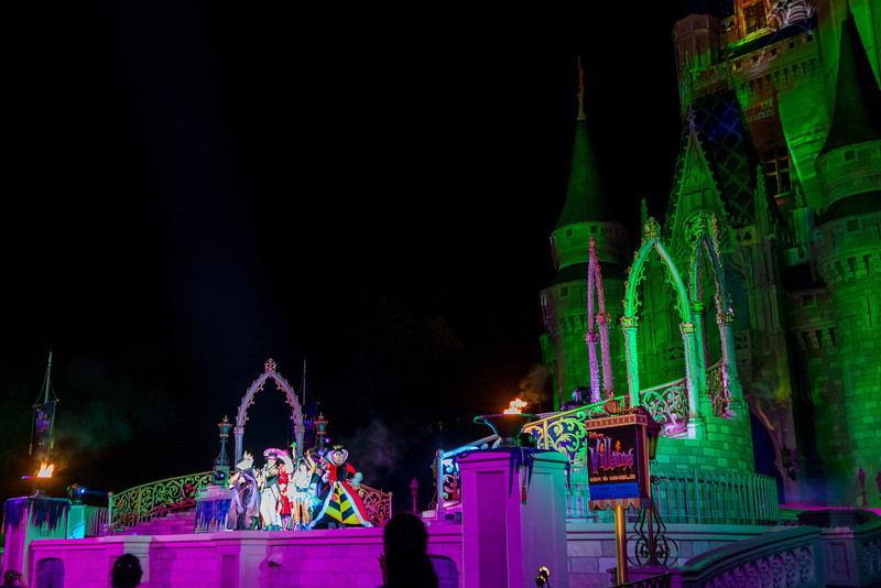 DSC_0793-L.jpg